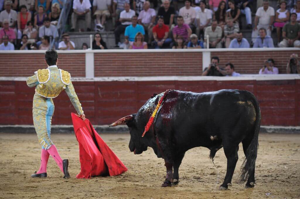 bullfighting