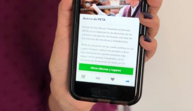 Conoce la innovadora aplicación de PETA Latino para iPhone y iPad
