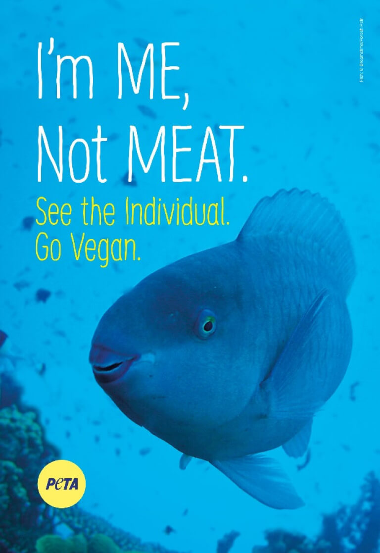 Im me not meat banner