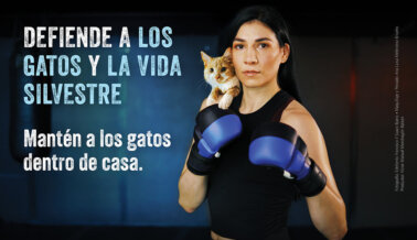 La estrella de UFC Irene Aldana se suma a la lucha por la seguridad de los gatos en una impactante campaña con PETA Latino.