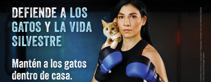 La estrella de UFC Irene Aldana se suma a la lucha por la seguridad de los gatos en una impactante campaña con PETA Latino.