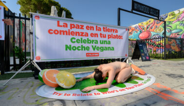 PETA Latino Sale a la Calle con ‘Cerdo’ Desnudo para una ‘NocheVEGANA’