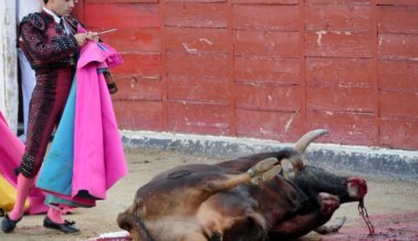 Video: ¿Cuántos más morirán?