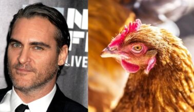 Joaquin Phoenix Quiere que Cambies el Mundo Desde tu Cocina