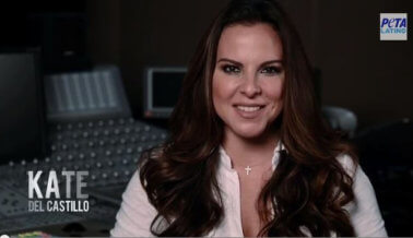 Kate del Castillo llama al alcalde de la Ciudad de México para ultimar prohibición de circos con animales