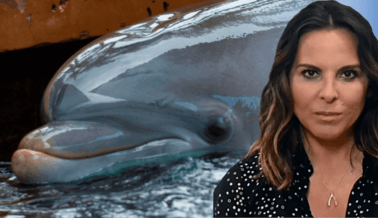 Kate del Castillo a Accionistas: SeaWorld Comete Abuso Sexual Contra los Delfines