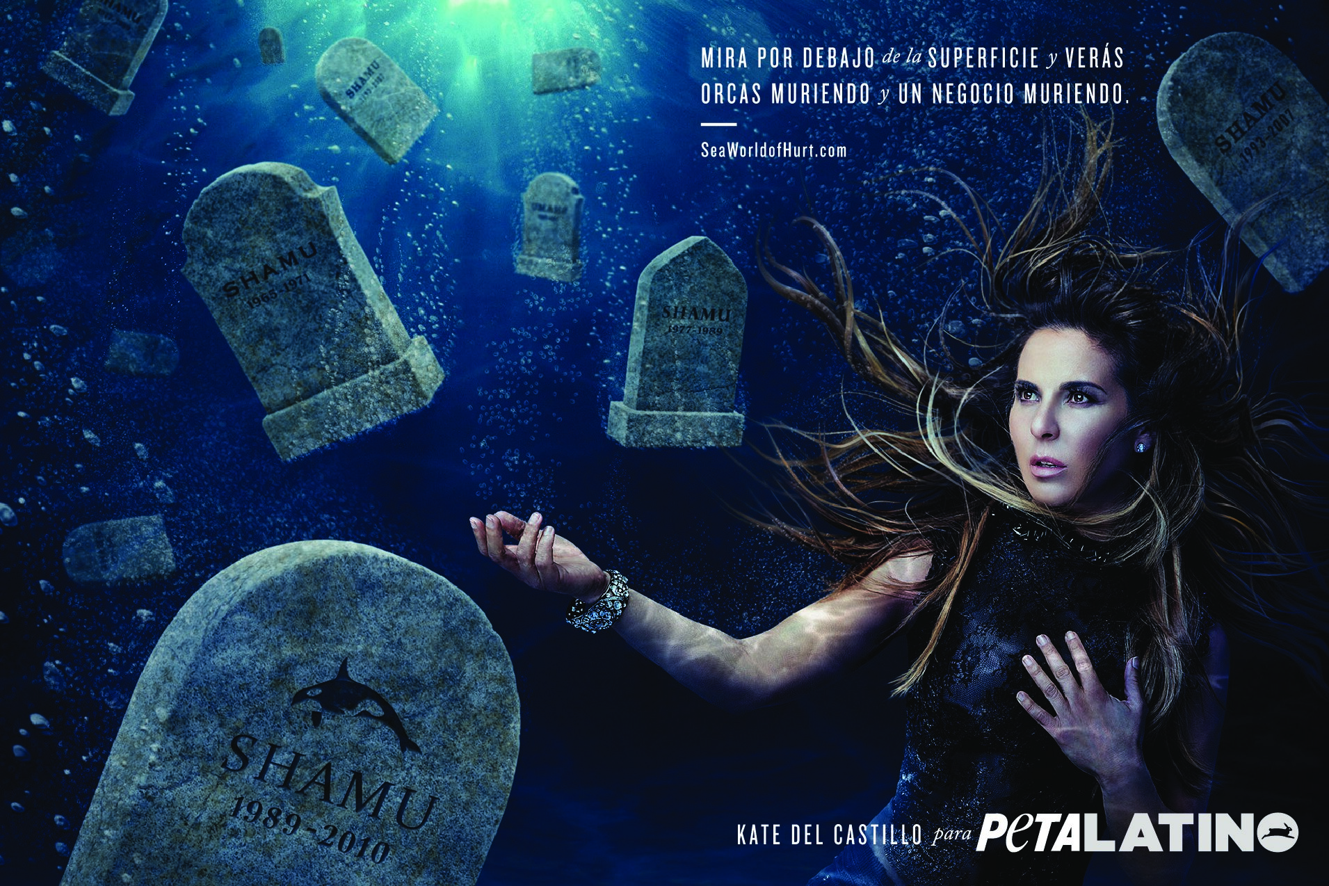 Kate del Castillo: Mira por debajo de la superficie