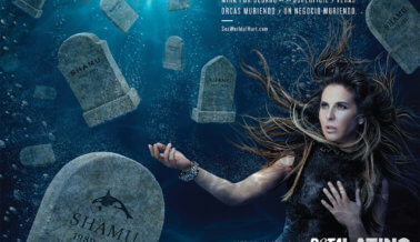37 Muertes – Kate del Castillo Pone al Descubierto el Horror en SeaWorld