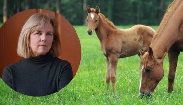 Kathy Guillermo, Vicepresidenta Sénior de PETA: Una Exjugadora de Polo Dedicada a Salvar Caballos