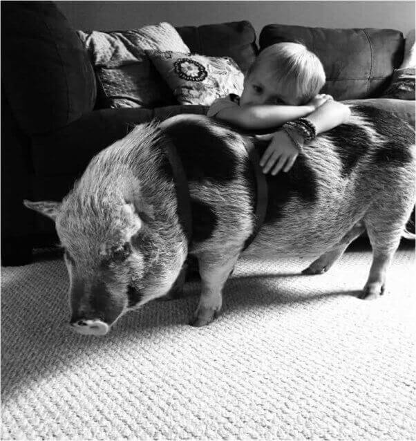 Koa-and-Miles-1-rescued pig