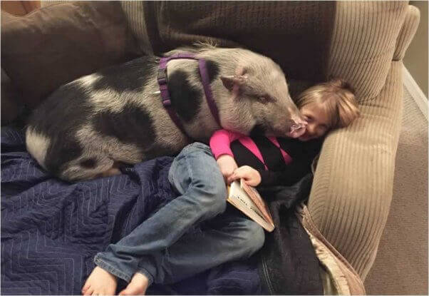 Koa-and-Sophie-2-rescued pig