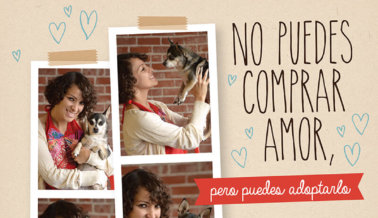 Gaby Moreno: No Puedes Comprar Amor – ¡Adóptalo!