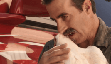 Lo más bello que verás hoy: un pollo y un conductor de camiones son mejores amigos