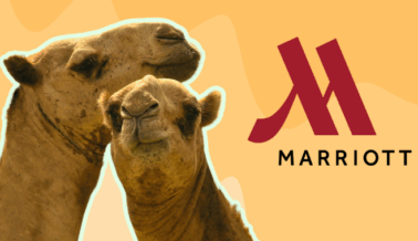 ¡Victoria! Marriott elimina los paseos en animales en las pirámides de Guiza 