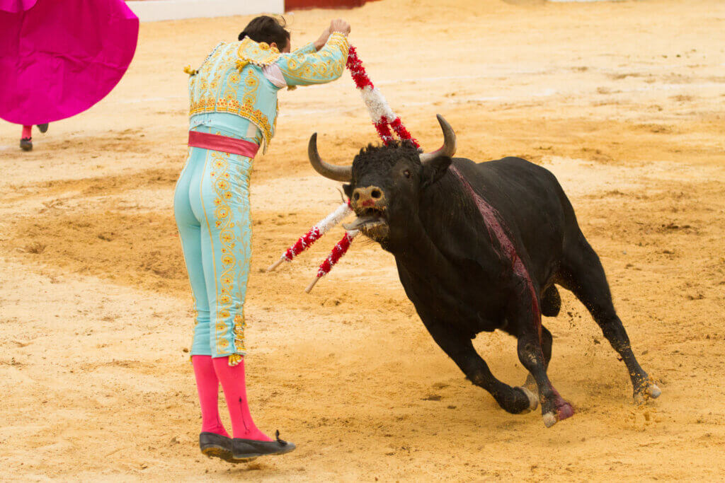 Matador apuñala a toro