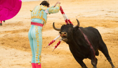 Pantalones Enjoyados Y Capa Roja No Disimulan El Sufrimiento Del Toro