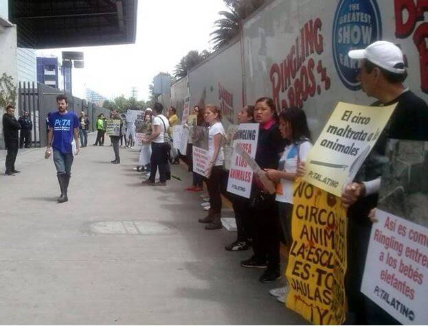 Mexico ringling protest