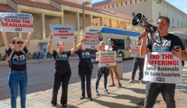 Última hora: Se publican correos electrónicos condenatorios sobre el infernal Miami Seaquarium