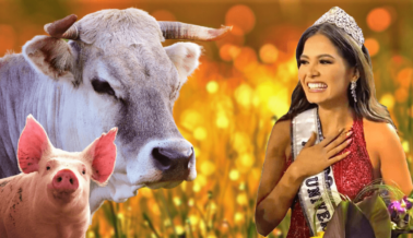 Miss Universo Vegana le Muestra al Mundo lo que Hace el Poder de las Plantas