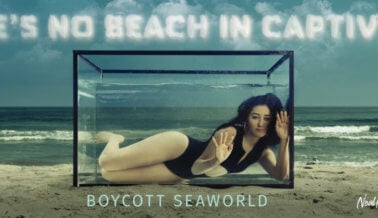 Noah Cyrus a SeaWorld: “Envíen a Las Orcas a Santuarios”