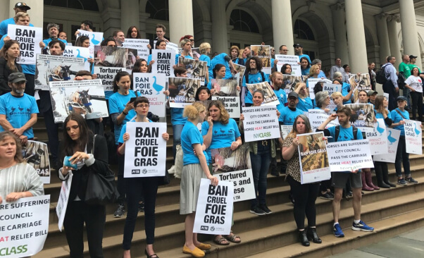 A crowd of dozens of animal rights activists stand on the steps on a government building holding signs that say "BAN CRUEL FOIE GRAS"