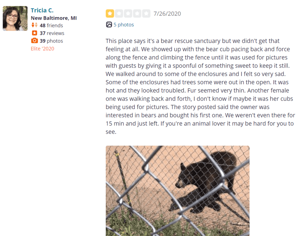 bad review of Oswalds Bear Ranch