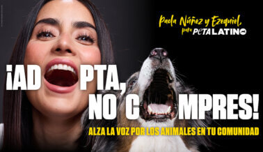 ¿Qué dice Paola Nuñez, estrella de “Bad Boys”, sobre la adopción? ¡Mira su nueva campaña para PETA Latino!