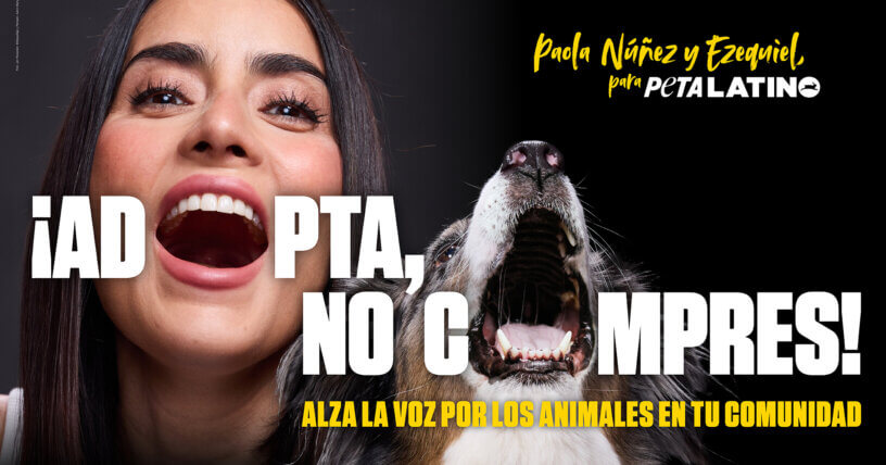 ¿Qué dice Paola Nuñez, estrella de Bad Boys, sobre la adopción?