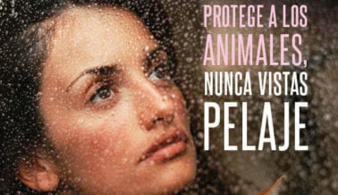 El Papel Más Bello de Penélope Cruz Hasta el Momento: Defensora de los Animales