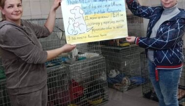 Superestrellas de PETA Alemania Rescatan Animales en Ucrania