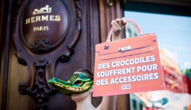 PETA Lidera la Ofensiva Global Para Desmantelar la Industria de Pieles Exóticas Activistas de PETA se Unen Para Acabar con las Pieles Exóticas