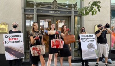 PETA y Agrupaciones de Derechos Animales de Todo el Mundo Decididos a ir por Hermès