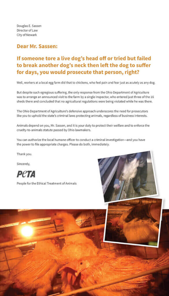 PETA's Ad about Ohio Egg Farm Investigation