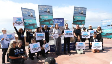 Por Corky: Christopher Von Uckermann se une a PETA para protestar por la libertad de Corky