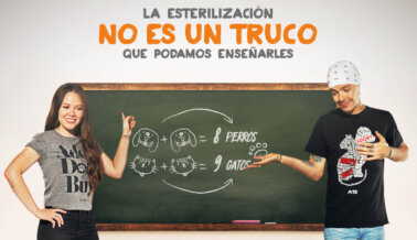 Jesse & Joy: Siempre Esteriliza