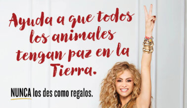 ¡Paulina Rubio Nos Recuerda a Todos Que los Animales No Son Regalos!