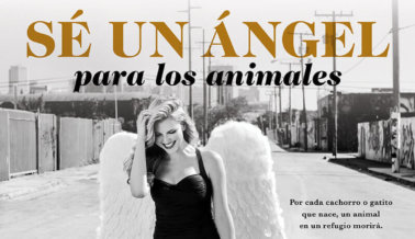 Marjorie de Sousa te Pide Que Seas un ‘Ángel’ Para Los Animales