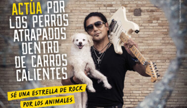 Chris Pérez: Actúa por los perros atrapados dentro de carros
