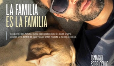 Ignacio Serricchio: Los Perros Son Familia, Tratémoslos de Ese Modo