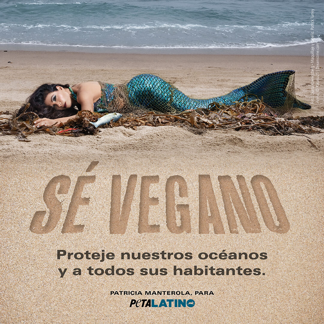 VegetarianosHOY  Redes de pesca : la mayor contaminación del océano -  VegetarianosHOY