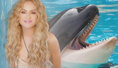 Paulina Rubio Insta a Miami Seaquarium a Liberar a Lolita a un Santuario