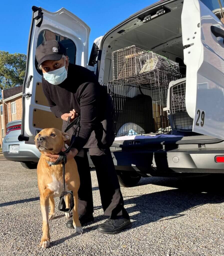 Perro Goldie fue esterilizada por trabajdora de PETA 