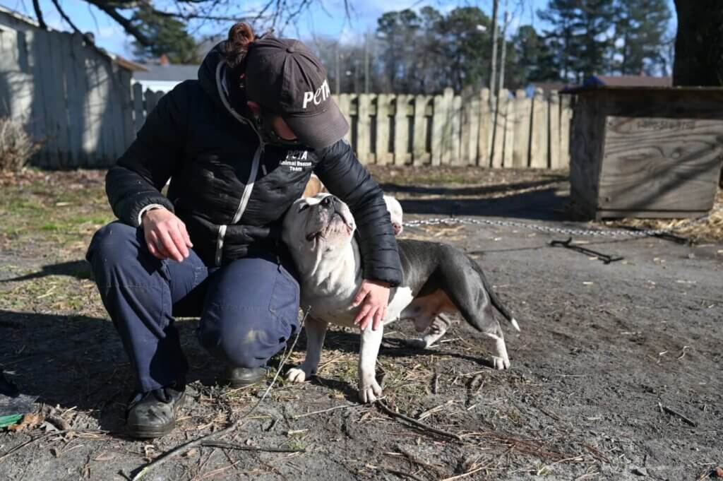 Perro "Hater" encadenado con trabajdora de PETA