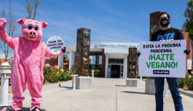 PETA Latino Dona Comida a los Trabajadores de un Hospital en San Diego
