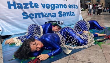 ‘Peces’ yacen ‘muertos’ en el centro de Ciudad de México para alentar a la gente a hacerse vegana esta Pascua