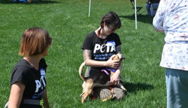 FOTOS: El Festival Poochella 2022 de PETA Ayuda a los Perros de Virginia a Encontrar Hogares Amorosos
