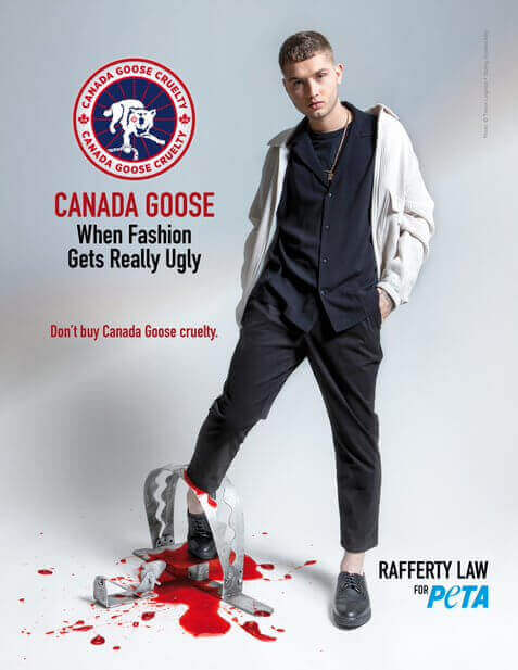 Canada goose historia zapatos top