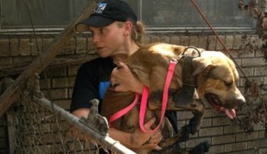 Equipo de rescate de PETA listo y esperando el primer vuelo hacia Puerto Rico