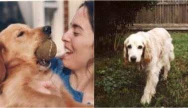 Fotos “antes y después” muestran cómo deben envejecer los perros