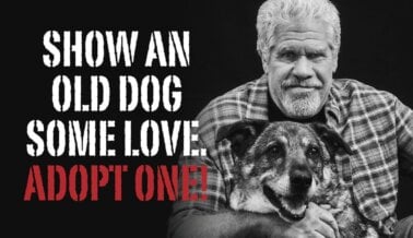 Ron Perlman se une a PETA para un anuncio de adopción presentando a sus coprotagonistas más adorables